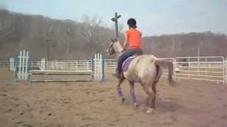My Goodbye To Maude (End of Lease)