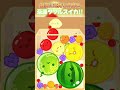 運だけでダブルスイカを作るのが一番気持ちいい!!＃スイカゲーム＃shorts