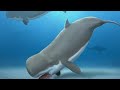 Speculative Cenezoic Sounds: Sounds from 5 Million Years Ago / 50 Subscriber Special