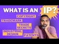 What are Intellectual Property Rights? Different types of IP explained!
