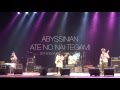 Abyssinian - 宛てのない手紙 20160604 アビシニアン