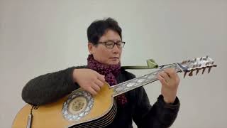 Metal strung baroque guitar