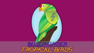 Bluethunder   Tropical birds (original mix)
