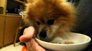 DSCF3904.AVI