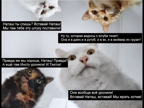 Перекачивание видео с Ютуб одновременно во ВК,  ЯндексДзен, Мой  мир и Рутуб
