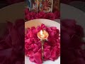 Japan me bhi रहकर अपने त्यौहार को मनाना भी एक आशीर्वाद है 🙏🏻🥰 प्रेम से बोलो जय माता रानी 🌺🌺🌺