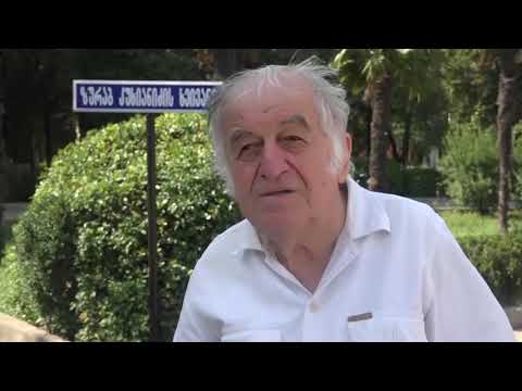 მოსწავლე ახალგაზრდობის პარკში მეხუთე ხეივანი გაიხსნა