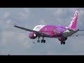 鳥が機体にあたって落ちた！Peach RUNE A320 16L 成田空港 nrthhh