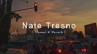 Nate Tresno Slowed & Reverb
