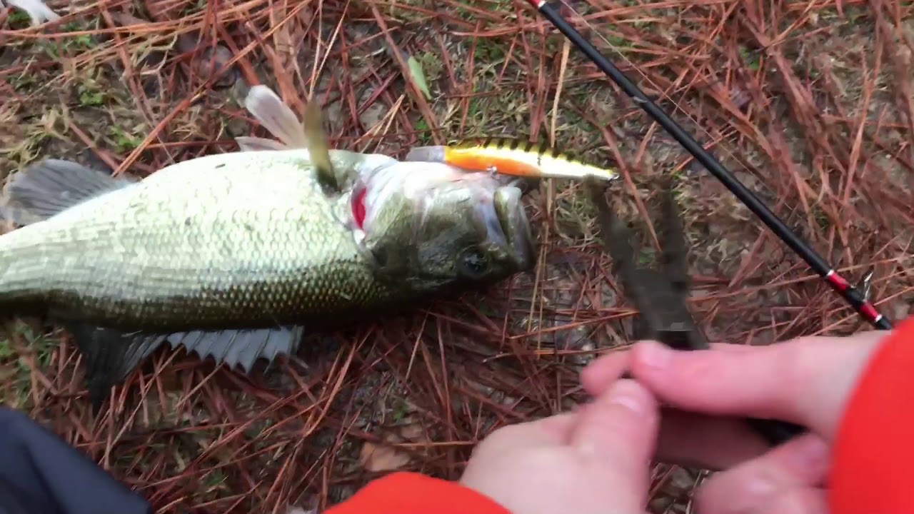 winter bass fishing YouTube