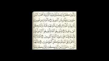 الشيخ محمد علي السلاموني//سورة التغابن//رمضان 1443