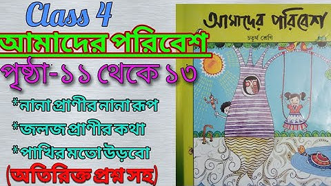 Class 4/amader poribash/page:11 to 13/আমাদের পরিবেশ/চতুর্থ শ্রেণী,পৃষ্ঠা ১১ থেকে ১৩