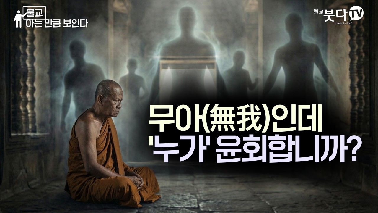 무아(無我)인데 도대체 '누가' 윤회합니까? | 무아설 vs 윤회설의 역사적 논쟁 | 무아 비아 윤회 전생 영혼 | 불교 아는 만큼 보인다 24회