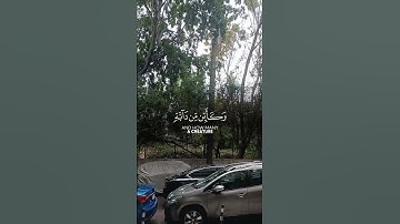 الذين صبروا وعلى ربهم يتوكلون.        #اسلاميات #دينيه #قران_كريم  #قرآن_كريم #سورة_النحل#quran