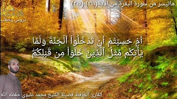 @يتلو علينا القارئ الحافظ فضيلة الشيخ محمد عليوي ماتيسر من سورة البقرة من الآية (٢١١)وحتى(٢١٥)ص٣٣