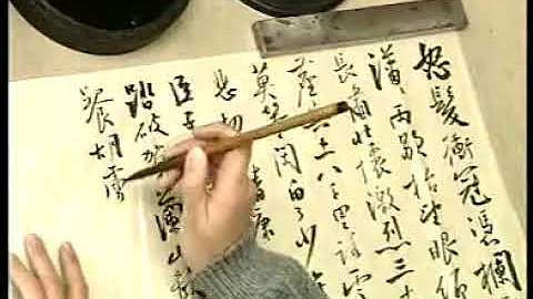 美女书法家孙晓云讲解行书技法，很有学问 - 天天要闻