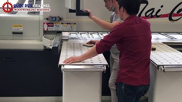 Máy cưa panel saw tự động TPS-10SH I Máy cắt ván panel saw cnc