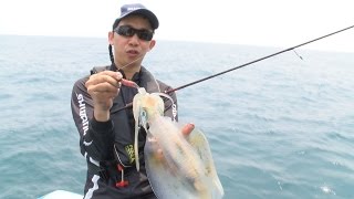 Shimano ROMPIN EGI FISHING