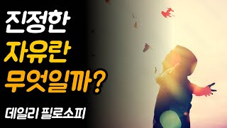 대가로 얻는 자유와 대자유는 다른가? | 데일리 필로소피, 라이언 홀리데이,스티븐 핸슬먼