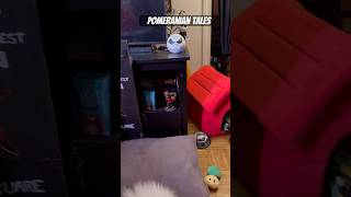 Just one of the many features, Echo Dot can do …#amazon #amazonechodot #story