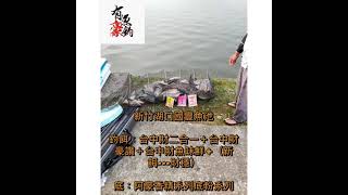「台中財」冷凍餌～黃道明師父的釣況分享～新竹湖口國豐魚池 
