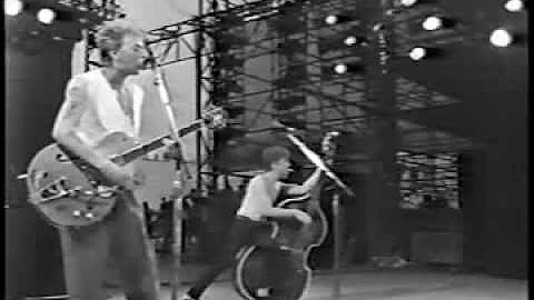 Stray Cats // Lonely Summer Nights