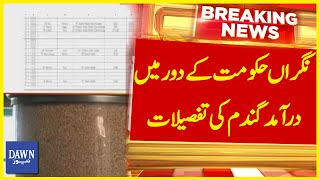 Dawn News Exposes Details of Wheat Import During Caretaker Government | Breaking News | Dawn News