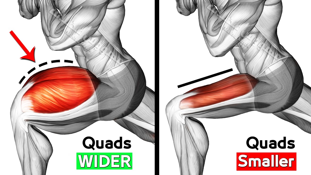 QUADS with Dumbbells to Get BIG Legs WORKOUT - YouTube