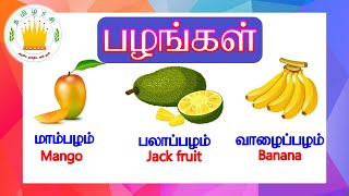 தமிழரசி -பழங்கள் Learn Fruits Names in Tamil & English for Kids and Children- Tamilarasi