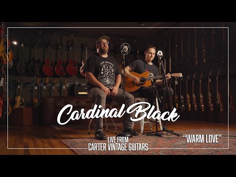 Cardinal Black //
