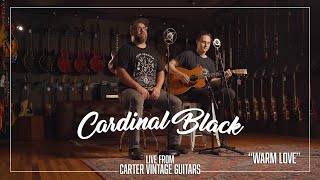 Cardinal Black Warm Love