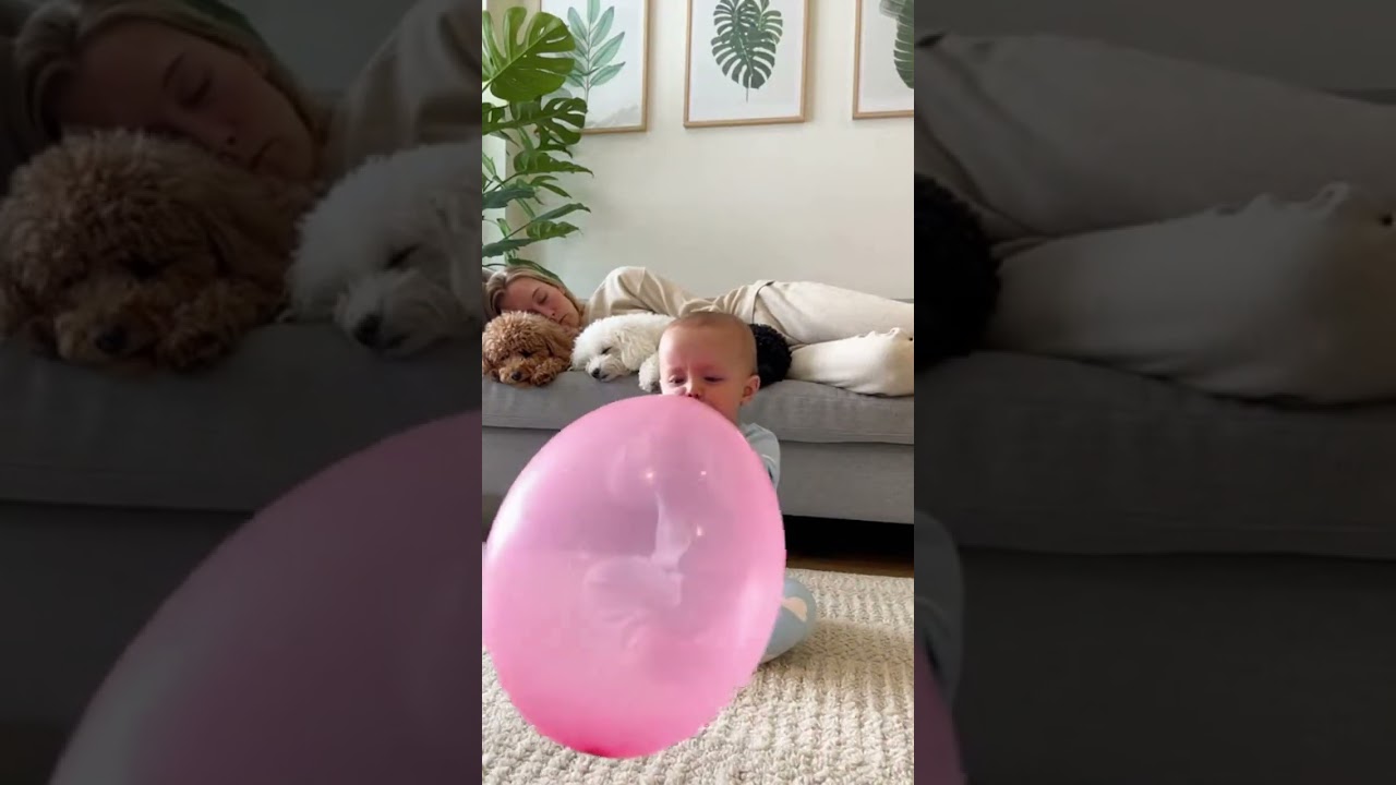 Baby’s Balloon Pop Chaos—Cutest Reaction Ever! 😂❤️