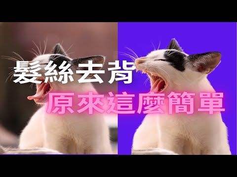 髮絲去背,相片大師教學