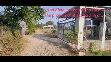 ngộp ngân hàng bán lổ để trả nợ.