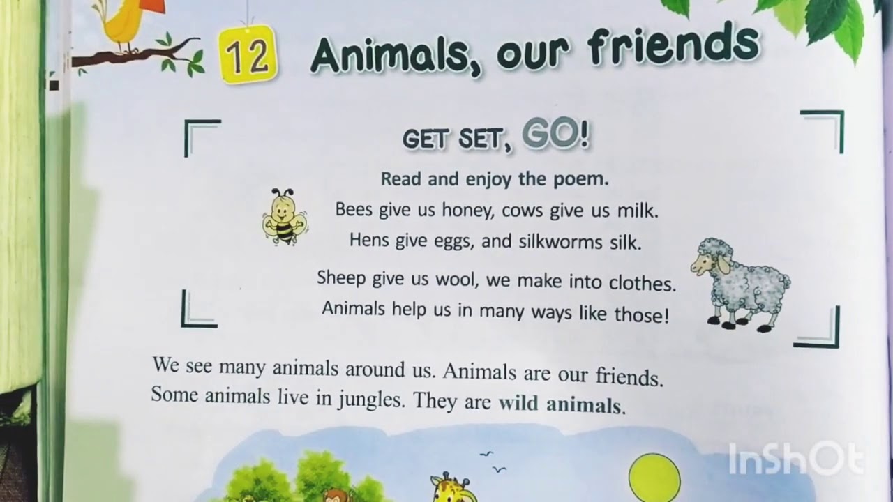 Class 2 ch-12 Animals,our friends ( part -1) - YouTube