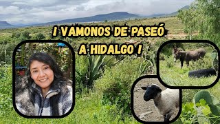 DESCUBRIENDO SAN AGUSTÍN TLAXIACA 🤗💚