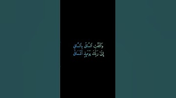 تلاوة خاشعة من سورة القيامة ياسر الدوسري #القرآن_الكريم #تلاوة_خاشعة #ياسر_الدوسري