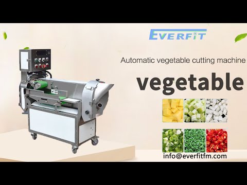 Onion Cutting Machine-Everfit Food Machine