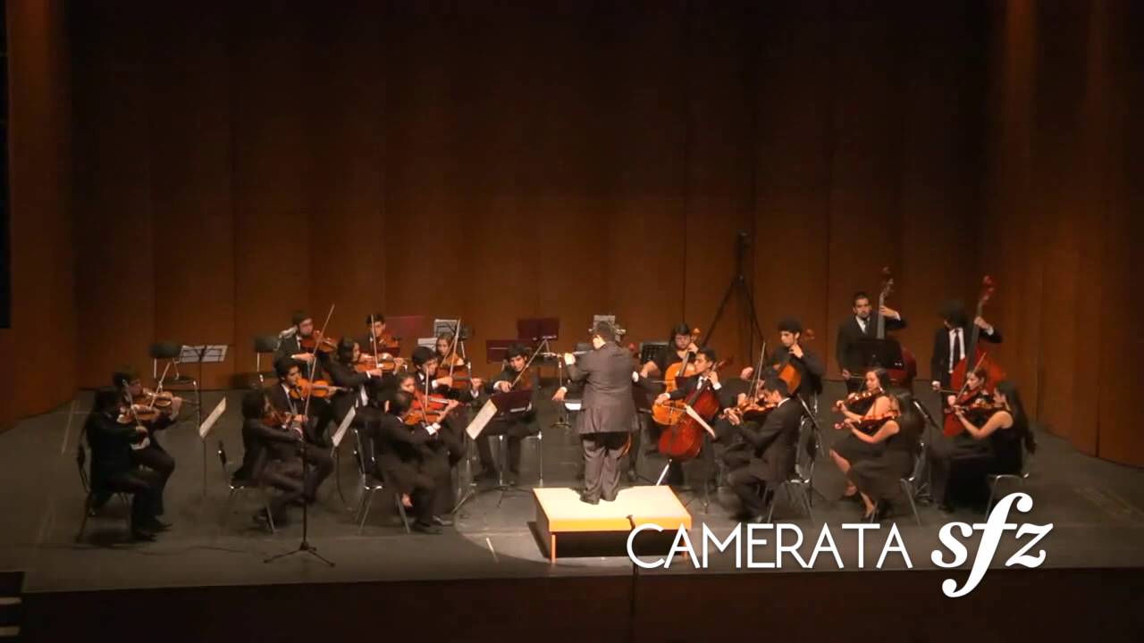 Happy Birthday Variation Theme - Peter Heidrich / Camerata Sforzando camerata ivoti