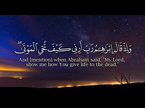 واذ قال ابراهيم ربي ارني كيف تحيي الموتى سورة البقرة  