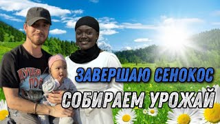 Красивое видео про деревенскую жизнь