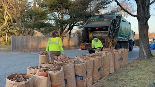 WM Garbage Truck Packing Out On Leaf Bag Piles