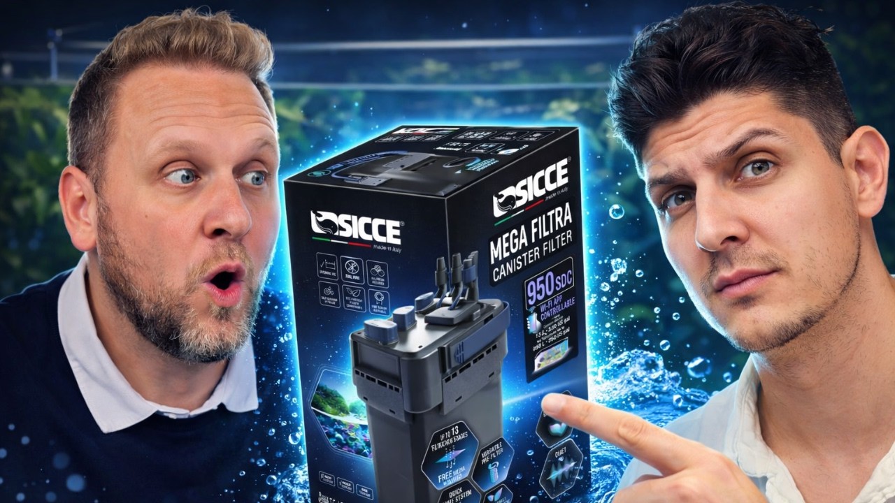 Sicce Mega Filtra 950 SDC : le nouveau monstre de la filtration aquarium ? - FLORE-AQUATIQUE