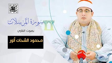 سورة المرسلات * بصوت محمود الشحات أنور• تلاوة استوديو🎤