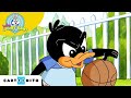 Le basket avec les baby looney tunes  la fte du sport  cartoonito france