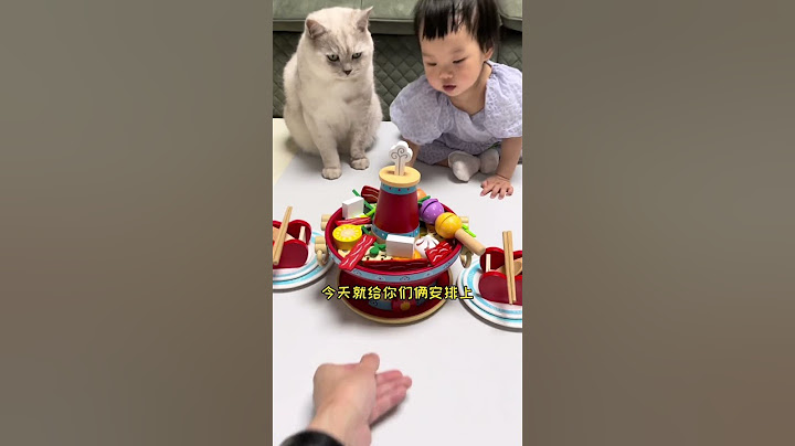 Cat and Baby  这结果真的很“惊喜”！这是正常猫干的事吗？🐱🤣#shorts #cat #catandbaby