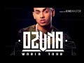 Coméntale - Ozuna ft akon letra HD