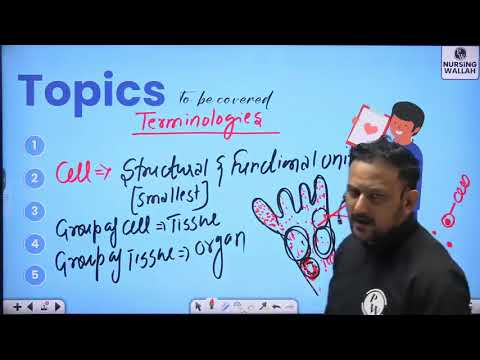 1 Renal System 01   Introduction of Renal System