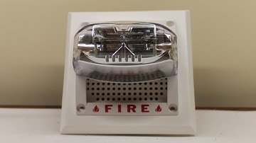 System Sensor SP1W24110ADA Fire Alarm Overview and Test