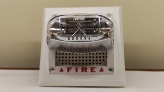 System Sensor SP1W24110ADA Fire Alarm Overview and Test